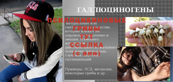 прущая мука Абаза