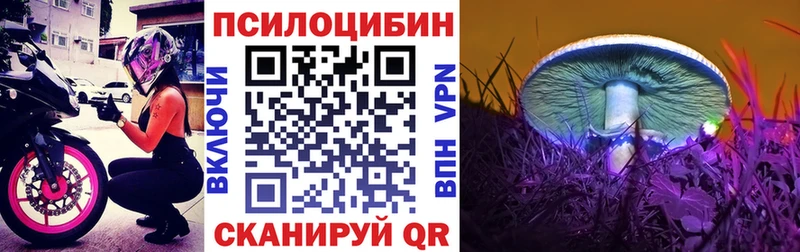 Псилоцибиновые грибы Psilocybine cubensis  Щёлково 
