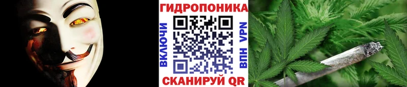 Канабис THC 21% продажа наркотиков Щёлково